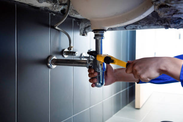 Best Commercial Plumbing in Ely, NV